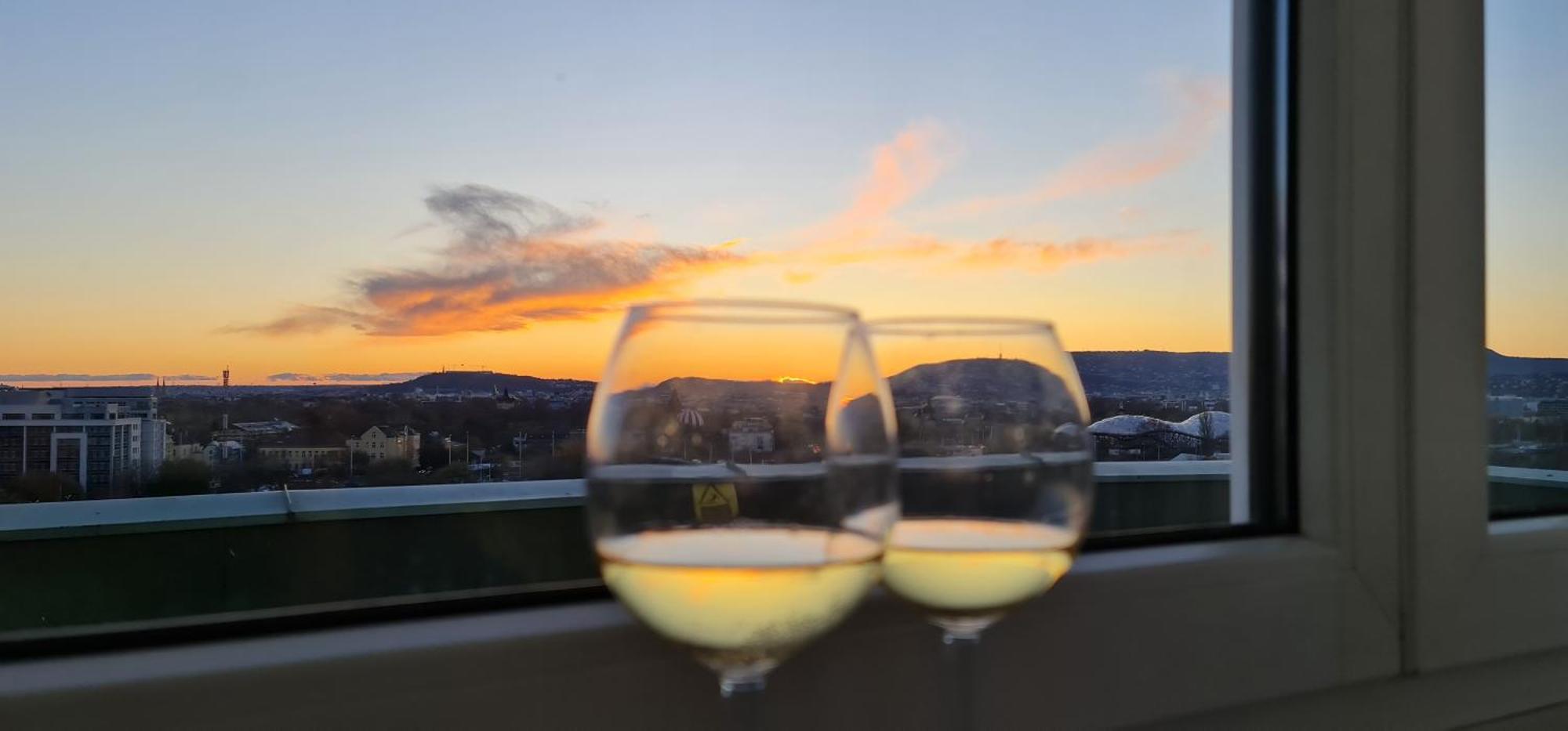 Rooftop Panorama Apartment 布达佩斯 外观 照片